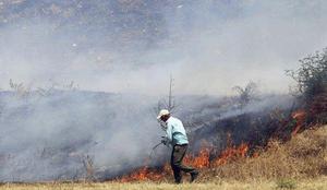 Slovenija bo pomagala gasiti gozdne požare v Albaniji