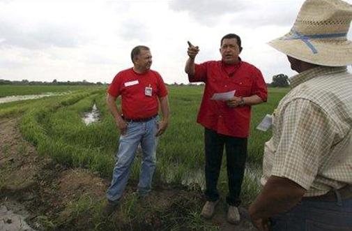 Chavez grozi z nacionalizacijo tovarn riža