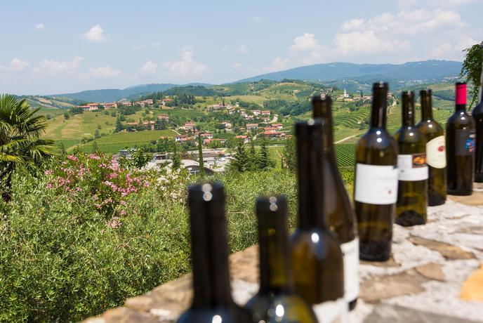 Goriška brda kot romantična razglednica iz nekih drugih časov (video)