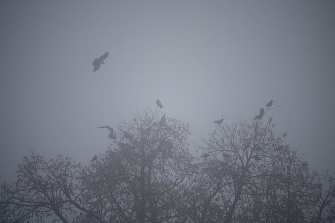 megla, Ljubljana, vreme | Po nižinah v notranjosti bo precej megle. | Foto Nebojša Tejić/STA