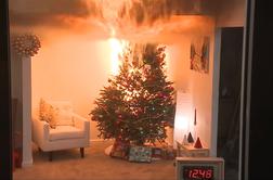 Ko božično drevo preveč zažari #video