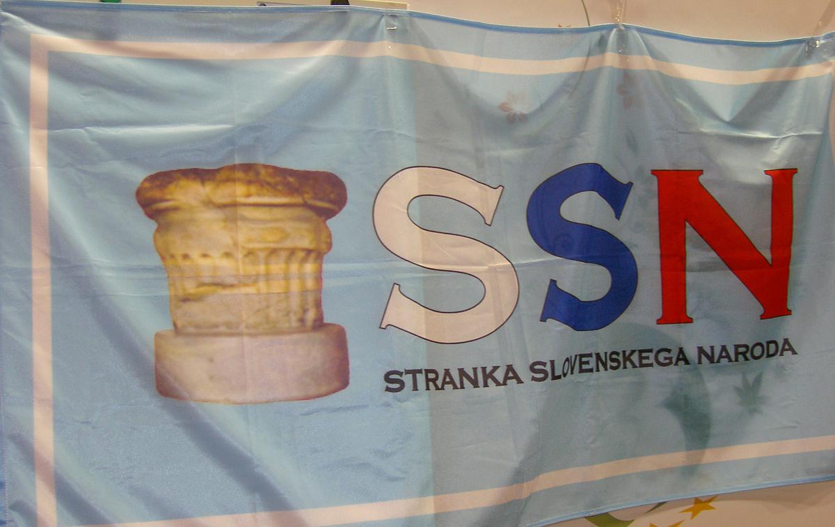 Stranka slovenskega naroda | Foto STA