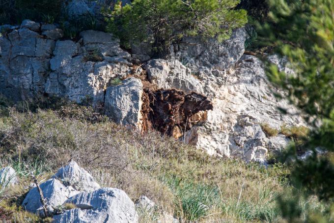 Nesreča Dubrovnik | Foto: Pixsell