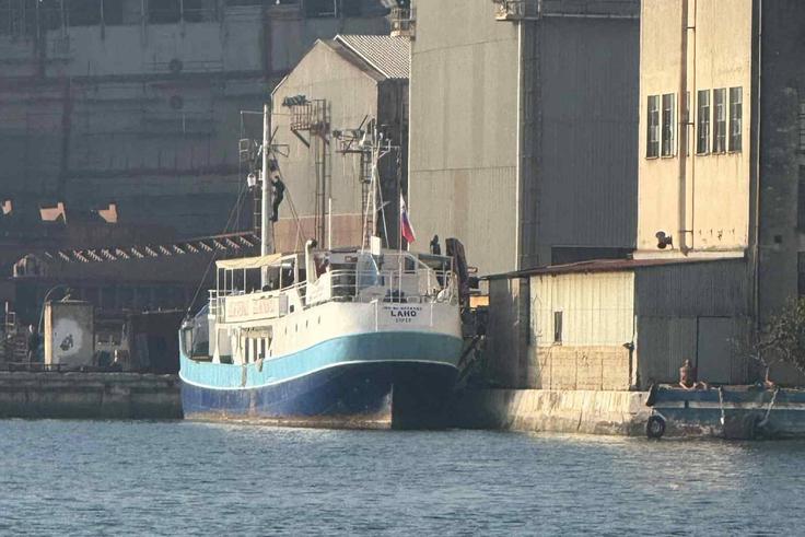 Številna prizadevanja, da bi jo rešili, so bila do danes neuspešna.  | Foto: Facebook/Slavko Franca