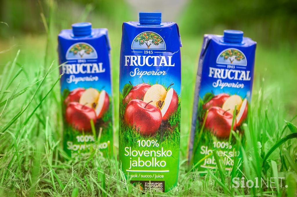 Mirosan, Rok Korber, Fructal