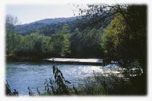 Reka Vipava