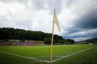 Dolenjsko-gorenjski remi