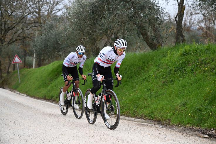 Med ekipami vodi Pogačarjevo moštvo UAE Team Emirates-XRG. | Foto: Guliverimage