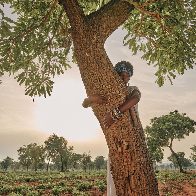 Izdelki iz plodov dreves, ki preprečujejo širjenje puščave in omogočajo vir prihodka lokalnemu prebivalstvu. | Foto: 