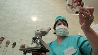 WHO svetuje Ukrajini, naj uniči nevarne patogene v svojih laboratorijih