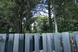Vila Tartini
