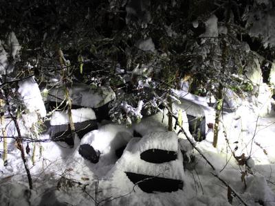 Policija delila fotografijo kraja, kamor so neznanci skrili ukradena glasbila