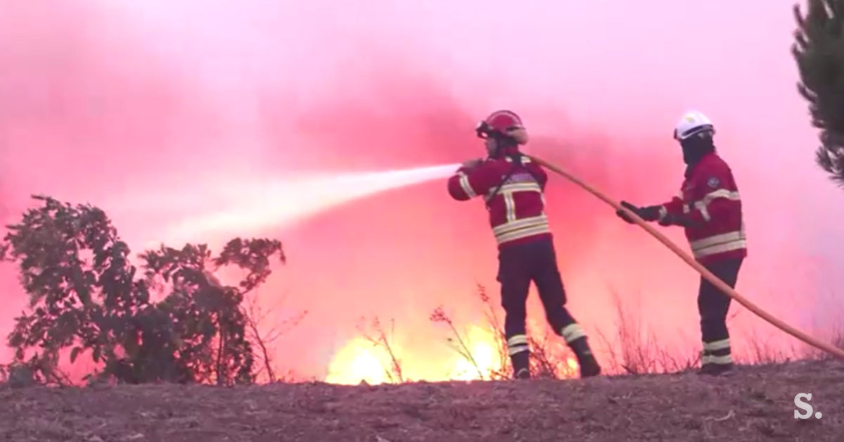 Incêndios também assolam a Córsega, Portugal e Argélia #vídeo