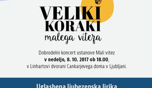 Dobrodelni koncert Veliki koraki malega viteza