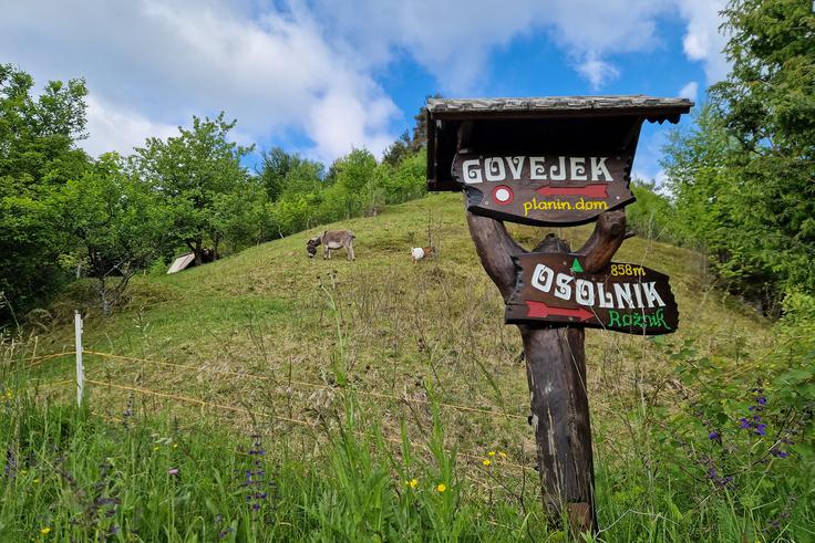 Na razpotju Govejk/Osolnik smo samo še deset minut oddaljeni od koče. | Foto: Matej Podgoršek
