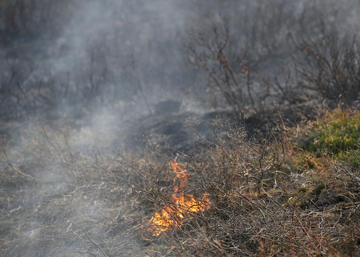 požar | Foto: Reuters