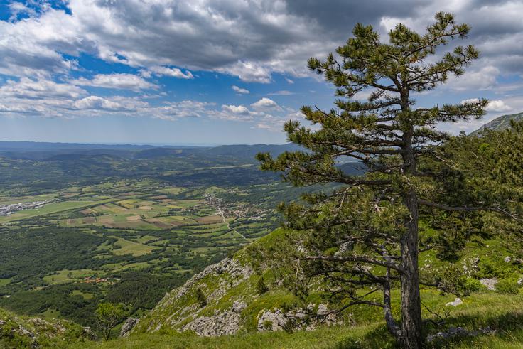 Skozi okno se odpre pogled na prostrano zeleno Vipavsko dolino. | Foto: Shutterstock