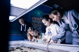 McDonald's, Akvarij Piran