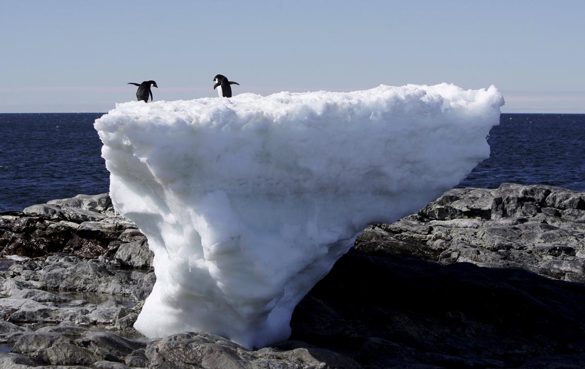 Antarktika | Foto Reuters