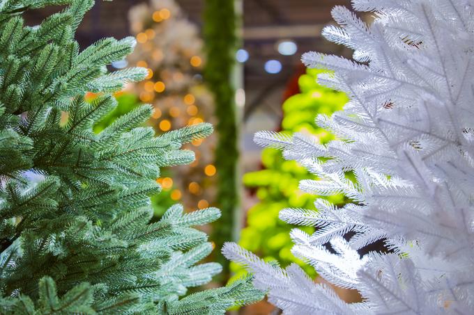 božično drevo jelka smreka | Foto: Thinkstock