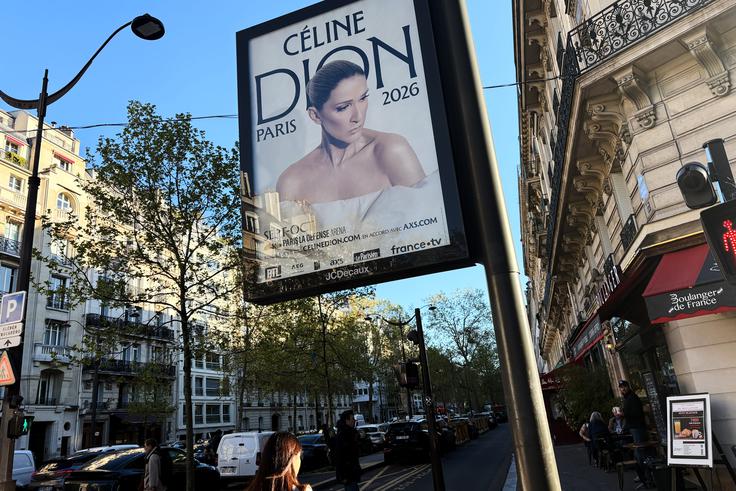 Celine Dion za letošnjo jesen v Parizu napoveduje kar deset koncertov. | Foto: Guliverimage
