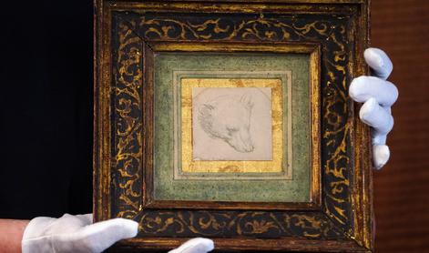Neverjetna da Vincijeva mojstrovina bo rušila rekorde #video