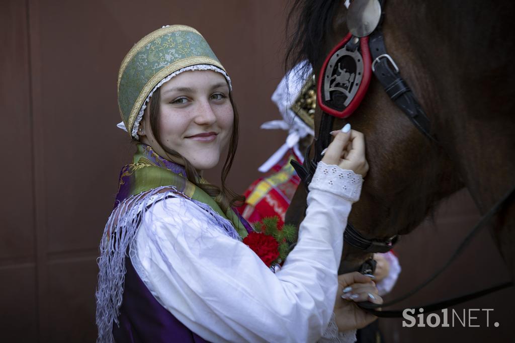 Posavsko štehvanje