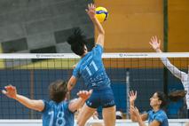 Calcit Volley