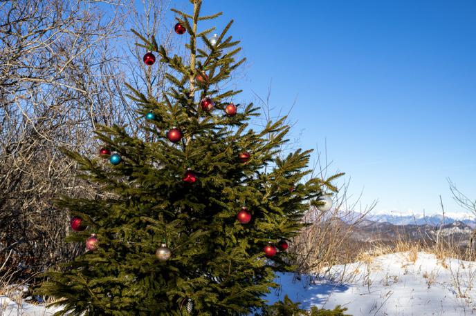 pohod na Modrasovec | Ena od pravih izbir za novoletni pohod je Veliki Modrasovec in koča 20 minut pod njim. | Foto Matej Podgoršek