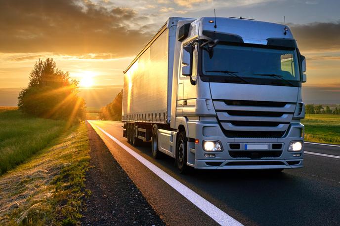 tovornjak | Sistem bo zaznal maso vozila, prek kamere bo preveril registrsko oznako in nato trenutno maso primerjal z največjo dovoljeno maso tega registriranega tovornjaka.  | Foto Getty Images