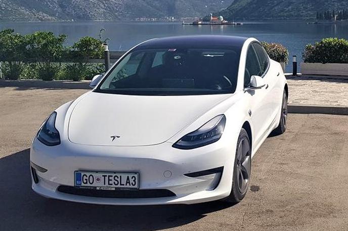 tesla 3 | V Nemčiji so dvignili subvencije za nakup električnega vozila, zato se je med epidemijo veliko ljudi odločilo za nakup električnega avta. | Foto Društvo DEMS