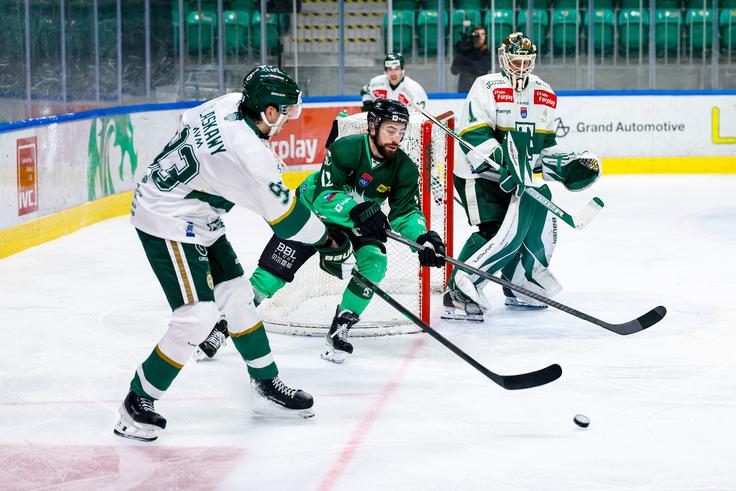 HK Olimpija Ferencvaros | Foto: Aleš Fevžer