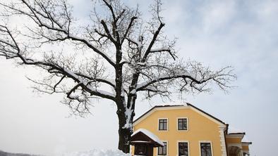 Terbotz: medžimurska zimska pojedina