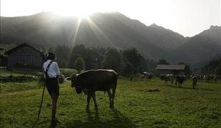 Protesti: Kmetje zahtevajo pravične cene za mleko