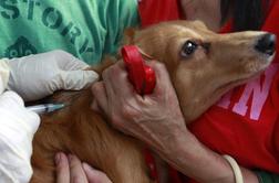 Cepljenje psov proti steklini vsako leto ne bo več obvezno