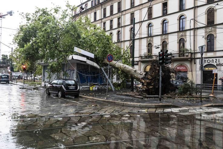 Neurje Milano | Foto: Profimedia