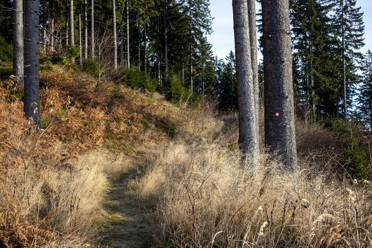Vzpon na Kašno planino oziroma Kranjsko reber. | Foto: Matej Podgoršek