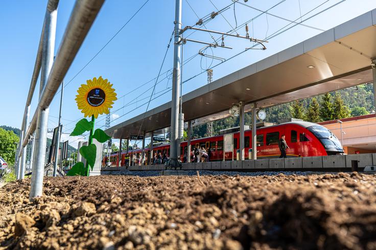 Slovenske železnice sejemo sončno prihodnost | Foto: Liam Toni Šironjič
