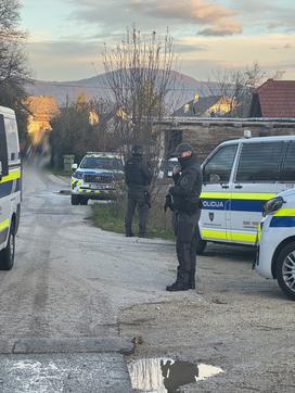 Novo mesto, policija, varnost