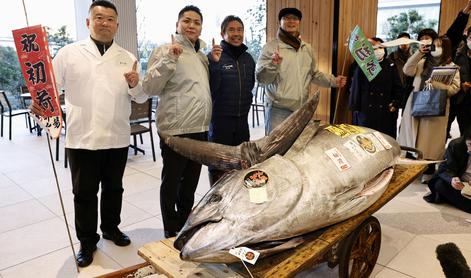 Za novoletnega tuna odšteli več kot milijon evrov #foto