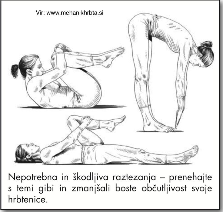 hrbet | Foto: 