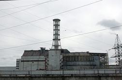 V Černobilu skoraj 40 let po katastrofi opazili modre pse. Kaj je v ozadju?