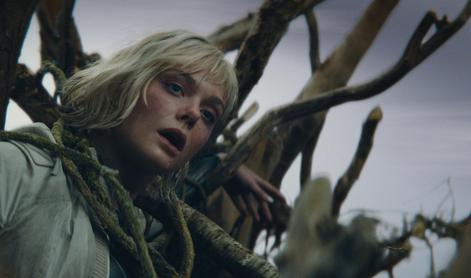 Predator: na vrhu prehranjevalne verige?