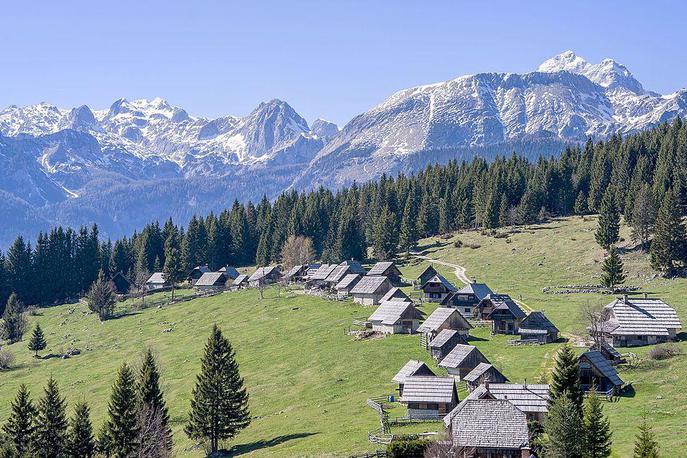 zajamniki | Planina Zajamniki na zahodnem robu Pokljuke ponuja čudovit razgled na Julijske Alpe (skrajno desno jeTriglav, pod njim je greben Tosca, levo pa Mišelj vrh) in pastirske stanove, ki so "zloženi" v fotogenično ulico. | Foto Wikipedia
