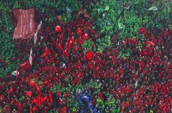 Od proletariata do prekariata