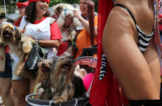 V São Paulu je bila tudi pasja parada, poimenovana "Blocão". | Foto: Reuters