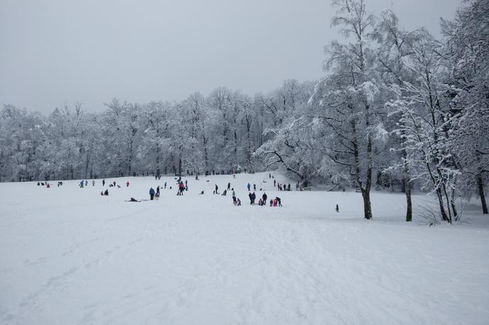 sneg sankanje | Foto Vid Libnik