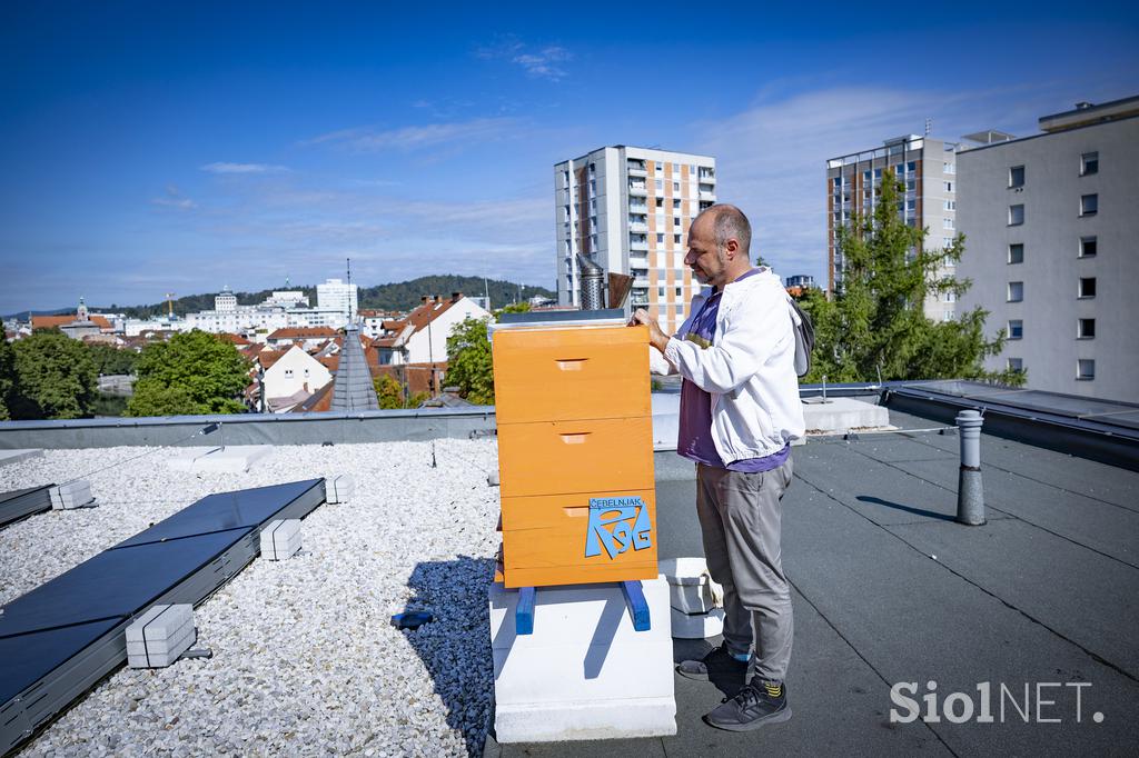 Urbani čebelar Ljubljana