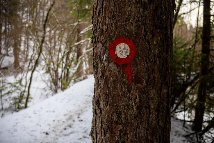Ta pot je del slovenske planinske transverzale. | Foto: Matej Podgoršek