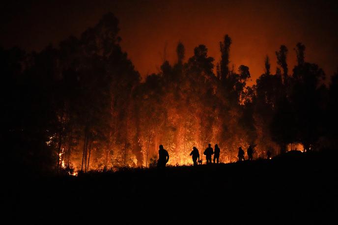 Požar, gasilci, Čile | V požaru na jugovzhodu Turčije je umrlo najmanj 11 ljudi.  | Foto Guliverimage